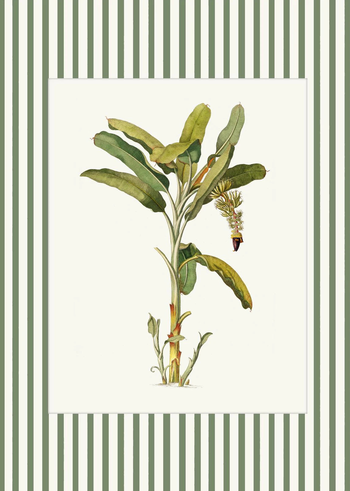 Botanical Floral Poster Canvas Print Wall Art