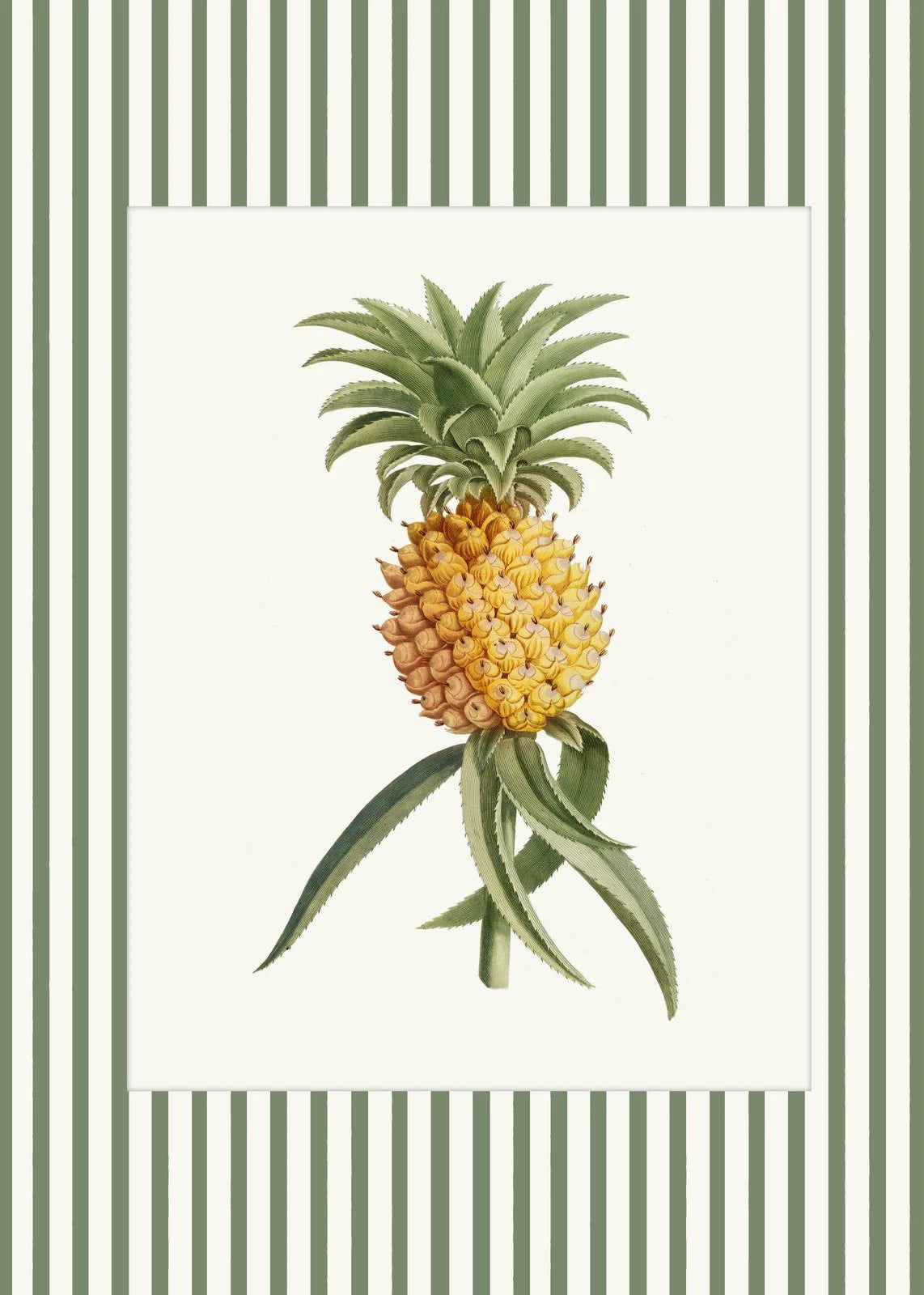 Botanical Floral Poster Canvas Print Wall Art