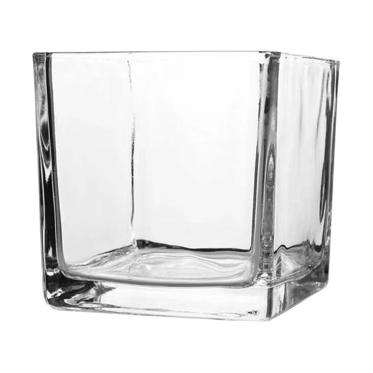 Clear Cube Square Glass Vase Hydroponic Modern Flower Vase Planter 10x10cm Home Office Desktop Decor Hydroponic Plant Bottle
