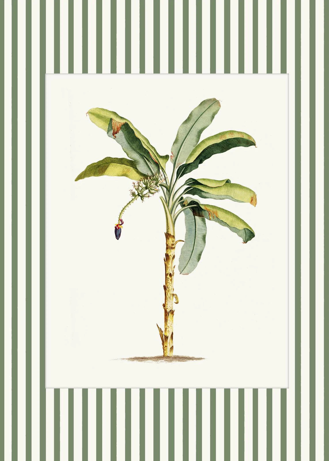 Botanical Floral Poster Canvas Print Wall Art