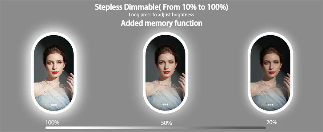 Oval LED Bathroom Mirror with Anti-Fog - Dimmable Lighting, 500x1000mm