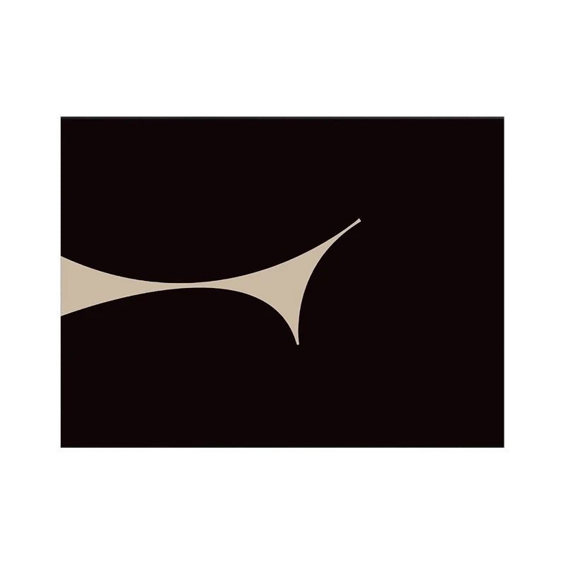 Black & White Abstract Rug - Modern Geometric Curves