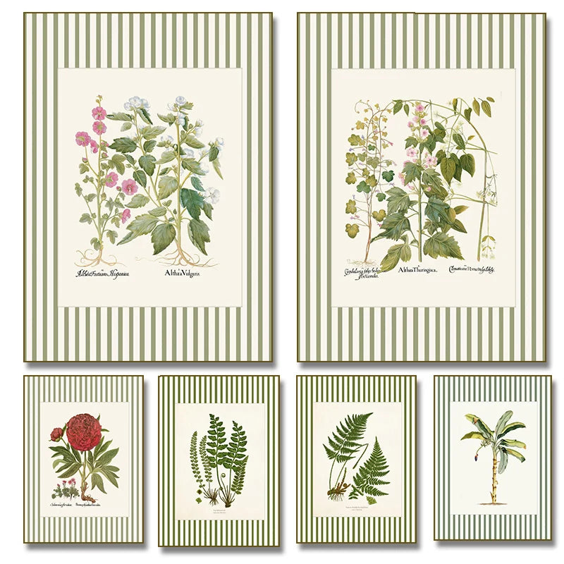 Botanical Floral Poster Canvas Print Wall Art