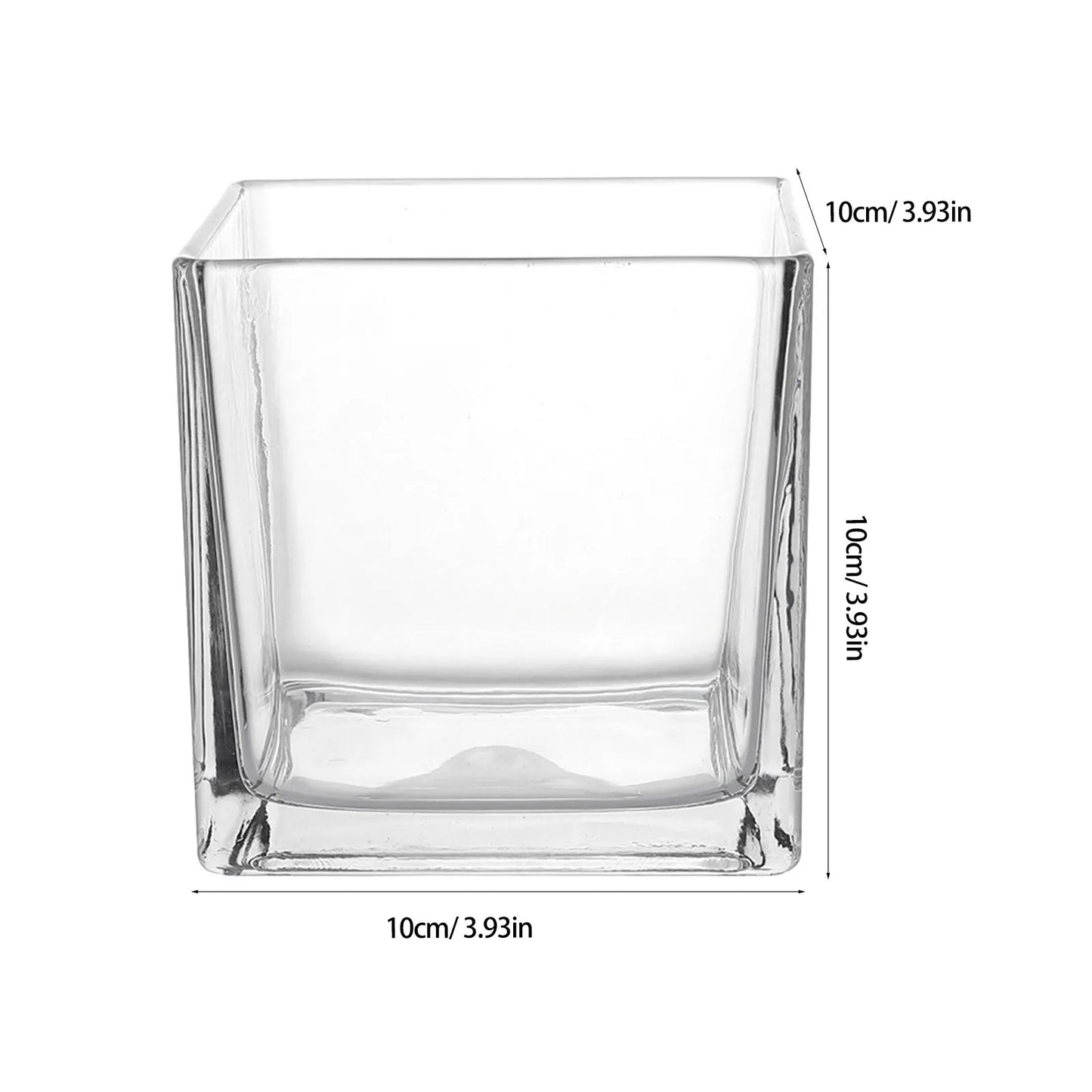 Clear Cube Square Glass Vase Hydroponic Modern Flower Vase Planter 10x10cm Home Office Desktop Decor Hydroponic Plant Bottle