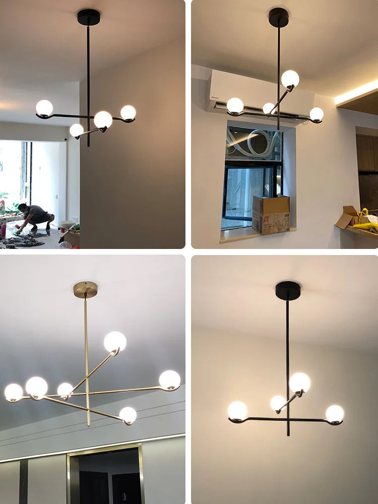 Chandelier: Modern Branching Globe Light in Black - 6 Lights