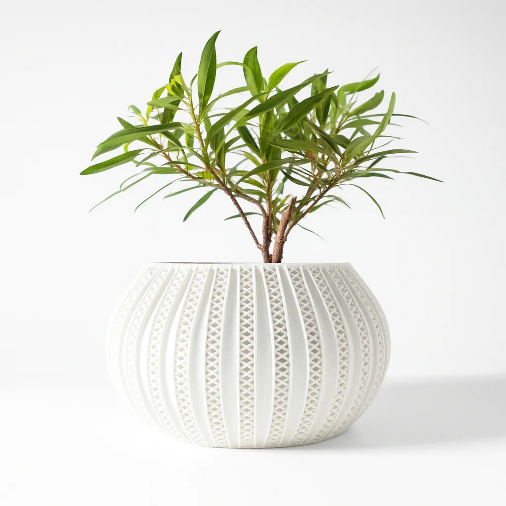 3D Printed Geometric Planter - Biodegradable PLA Desktop Pot