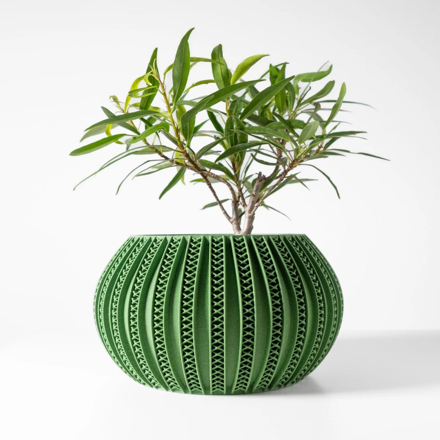 3D Printed Geometric Planter - Biodegradable PLA Desktop Pot