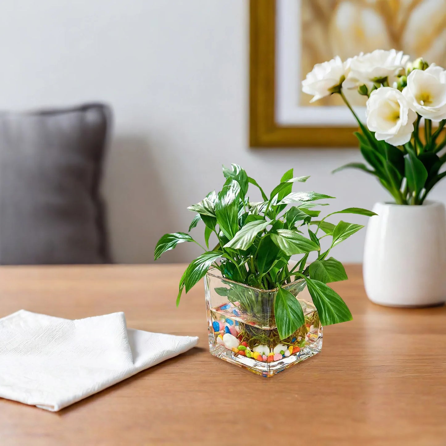 Clear Cube Square Glass Vase Hydroponic Modern Flower Vase Planter 10x10cm Home Office Desktop Decor Hydroponic Plant Bottle