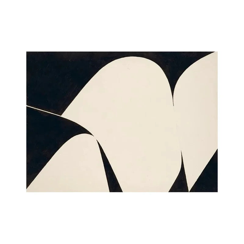Black & White Abstract Rug - Modern Geometric Curves