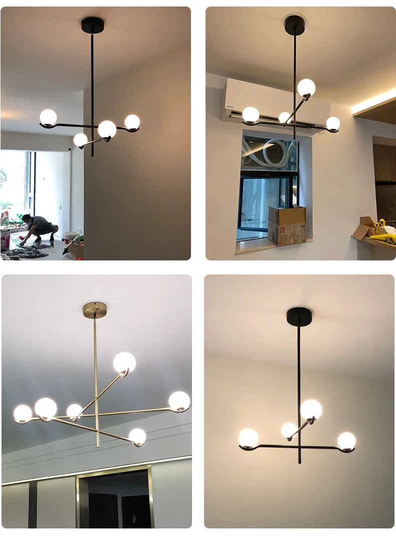 Chandelier: Modern Branching Globe Light in Black - 6 Lights