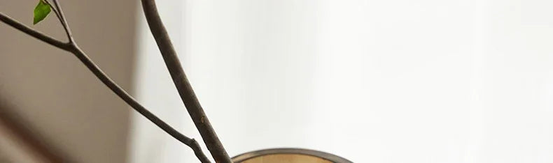 Transparent Glass Vase, Office Decor, Large Capacity Hydroponic Flower Pot, Vase, Bedroom Aesthetic Decor, Home Decor